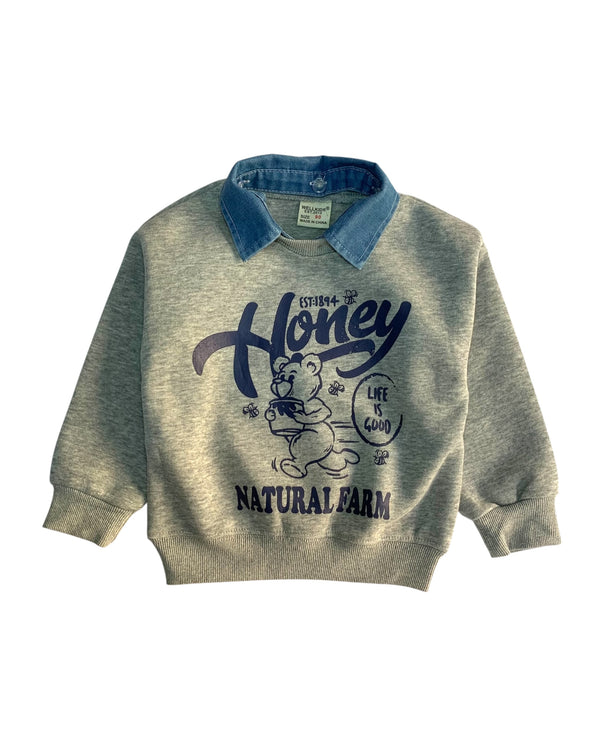 sweetshirt 1633 GRAY