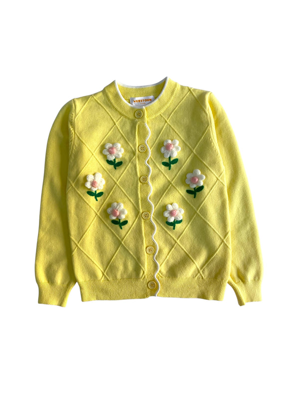 pullover 1620