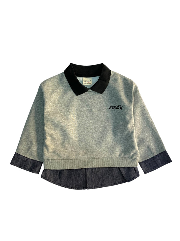 sweetshirt 1628