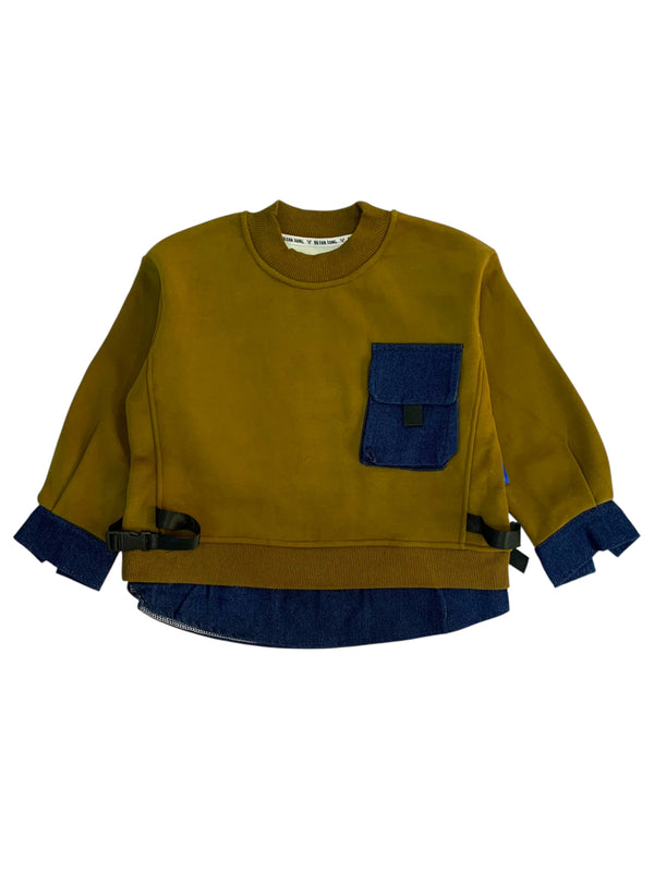 Pullover 1663