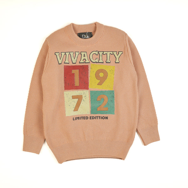 Boy Pullover 240 page